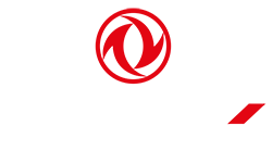 DFSK (db-auto)